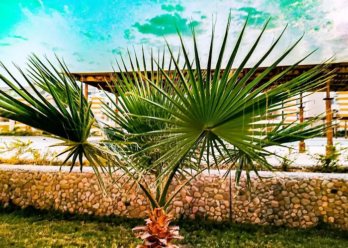 Palmera Only For Family Ain Sukhna-egypt Alpesi faház Ajn-Szuhna