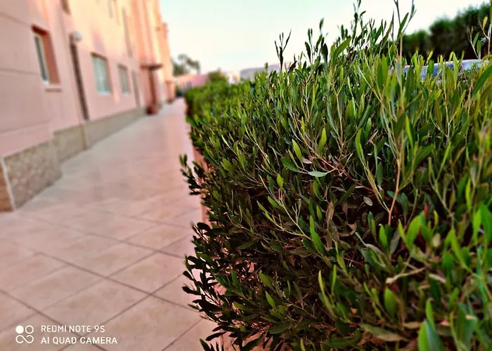 Alpesi faház Palmera Only For Family Ain Sukhna-egypt *